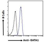 GATA1 Antibody in Flow Cytometry (Flow)