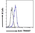 TRIM37 Antibody in Flow Cytometry (Flow)