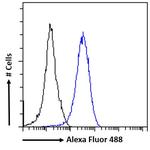 RAD51AP1 Antibody in Flow Cytometry (Flow)