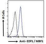 EDF1 Antibody in Flow Cytometry (Flow)