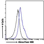 OGFR Antibody in Flow Cytometry (Flow)