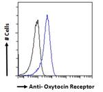 Oxytocin Receptor Antibody in Flow Cytometry (Flow)