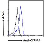 CYP3A4 Antibody in Flow Cytometry (Flow)