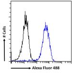 ZNF217 Antibody in Flow Cytometry (Flow)