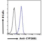 CYP26B1 Antibody in Flow Cytometry (Flow)