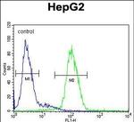 Ceruloplasmin Antibody in Flow Cytometry (Flow)