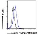 TMP21 Antibody in Flow Cytometry (Flow)