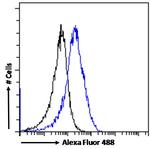 CHD5 Antibody in Flow Cytometry (Flow)