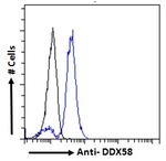 RIG-I Antibody in Flow Cytometry (Flow)