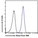 HRNR Antibody in Flow Cytometry (Flow)