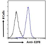 E2F8 Antibody in Flow Cytometry (Flow)