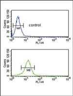 COL5A2 Antibody in Flow Cytometry (Flow)