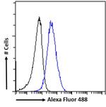 AHR Antibody in Flow Cytometry (Flow)