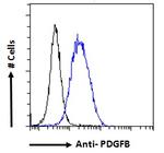 PDGF-B Antibody in Flow Cytometry (Flow)