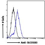 OATP8 Antibody in Flow Cytometry (Flow)