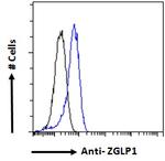 ZGLP1 Antibody in Flow Cytometry (Flow)