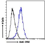 Ly-6E Antibody in Flow Cytometry (Flow)