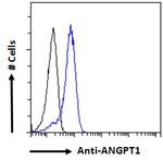 Angiopoietin 1 Antibody in Flow Cytometry (Flow)