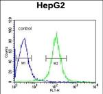 TMPRSS2 Antibody in Flow Cytometry (Flow)