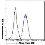 ROR gamma Antibody in Flow Cytometry (Flow)