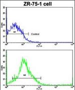 Cathepsin K Antibody in Flow Cytometry (Flow)