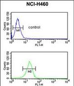 FKBP10 Antibody in Flow Cytometry (Flow)