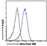 TBK1 Antibody in Flow Cytometry (Flow)