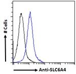 SLC6A4 Antibody in Flow Cytometry (Flow)