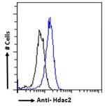 HDAC2 Antibody in Flow Cytometry (Flow)
