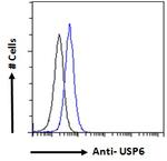 USP6 Antibody in Flow Cytometry (Flow)