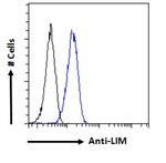 LMO3 Antibody in Flow Cytometry (Flow)