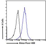 ACE2 Antibody in Flow Cytometry (Flow)