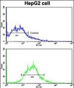 ADAM9 Antibody in Flow Cytometry (Flow)