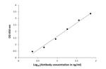 beta Alanine Antibody in ELISA (ELISA)