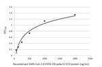 SARS-CoV-2 Spike Protein S2/S2' (strain Wuhan-Hu-1) Antibody in ELISA (ELISA)