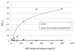 Zika Virus Envelope (strain H/PF/2013) Antibody in ELISA (ELISA)