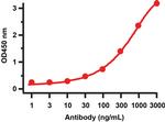 SARS 3CL Protease Antibody in ELISA (ELISA)