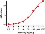 SARS-CoV-2 NSP14 Antibody in ELISA (ELISA)