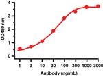 SARS-CoV-2 NSP7 Antibody in ELISA (ELISA)