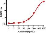 SARS-CoV-2 NSP8 Antibody in ELISA (ELISA)