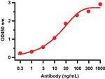 SARS-CoV-2 NSP9 Antibody in ELISA (ELISA)