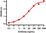 SARS-CoV-2 ORF3a Antibody in ELISA (ELISA)