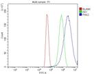 PAK2 Antibody in Flow Cytometry (Flow)