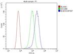 BUBR1 Antibody in Flow Cytometry (Flow)