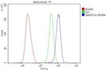 SMARCA2 Antibody in Flow Cytometry (Flow)