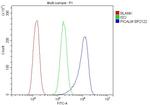 CALM Antibody in Flow Cytometry (Flow)