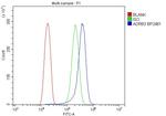 beta-3 Adrenergic Receptor Antibody in Flow Cytometry (Flow)