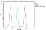 GLUT9 Antibody in Flow Cytometry (Flow)