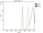 MFGE8 Antibody in Flow Cytometry (Flow)