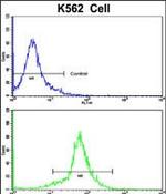 PCM1 Antibody in Flow Cytometry (Flow)